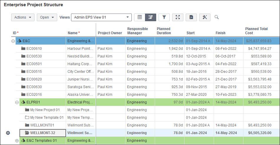 Primavera P6 EPPM Responsible Manager