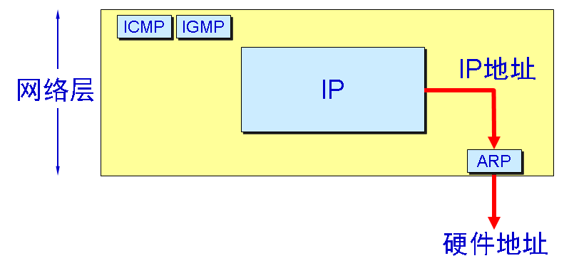 ARP协议作用