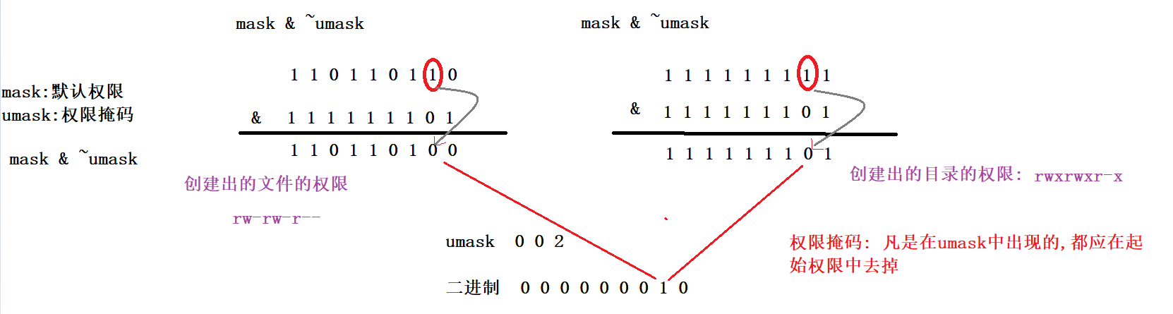 image-20220313201923632