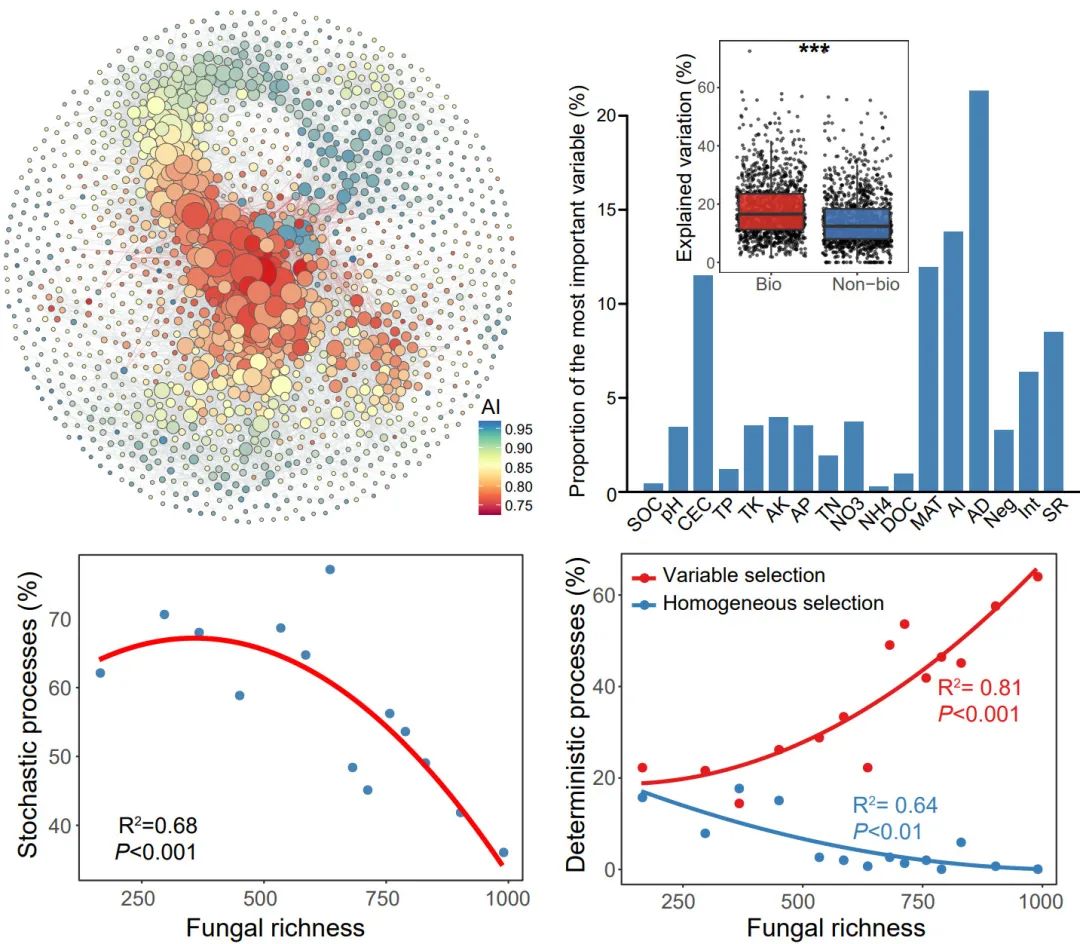 Mat团队文字组审核 Csdn