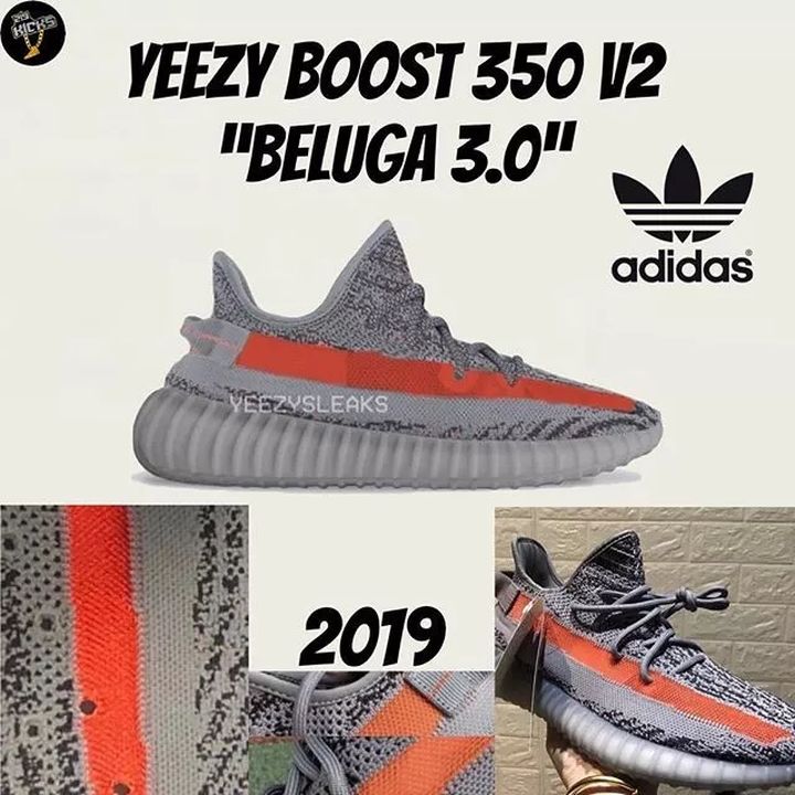 beluga v3