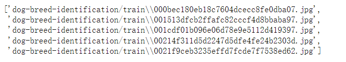 image-20220731105031898
