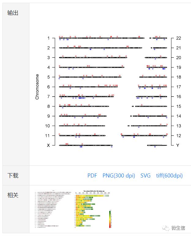 ChIP-Seq，MeRIP-seq峰（peak），eccDNA等染色体分布可视化