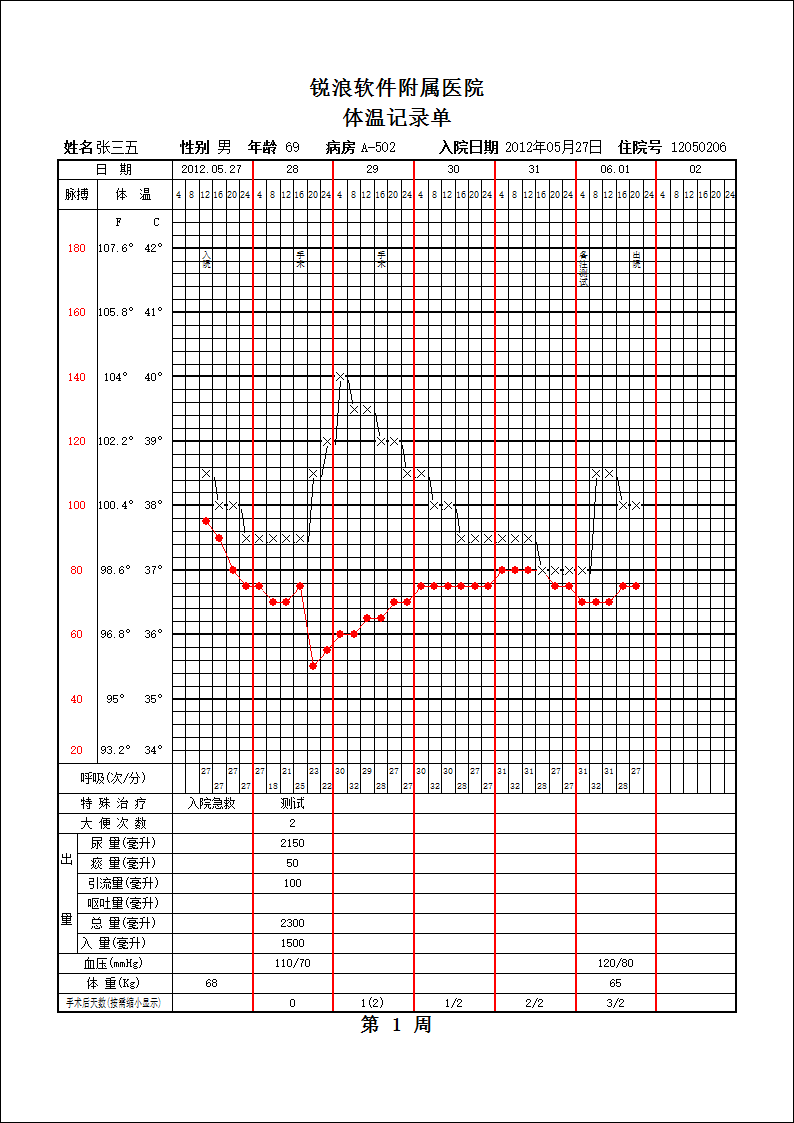 报表自定义绘制