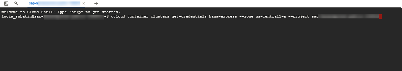 #云原生征文# 在 Google Kubernetes上使用 HANA Expression 服务-开源基础软件社区