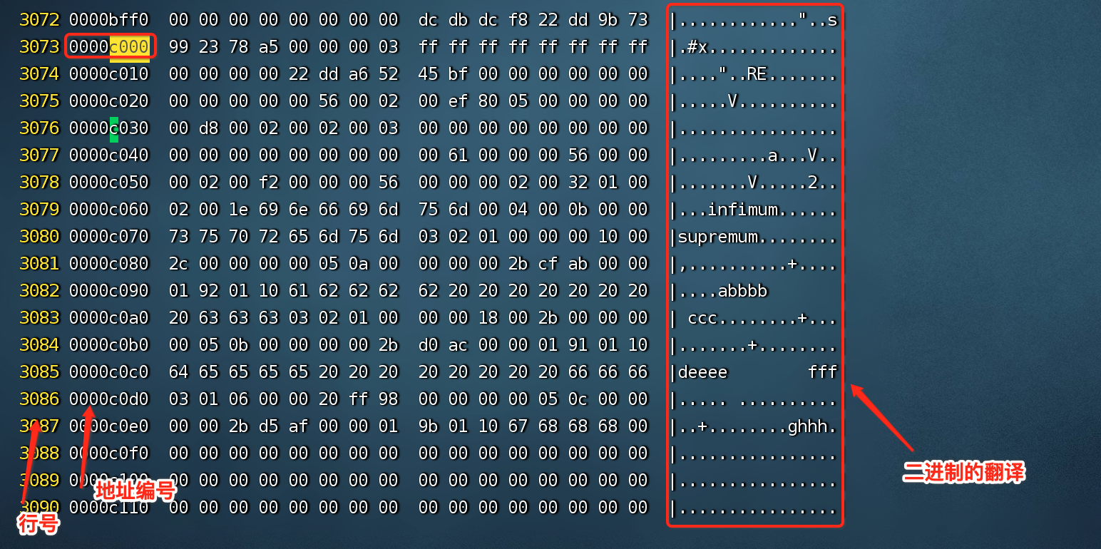 【InnoDB 存储引擎】InnoDB 存储引擎的行格式，有 Compact、Redundant、Dynamic 等行格式还有它们配套实验（实验篇）