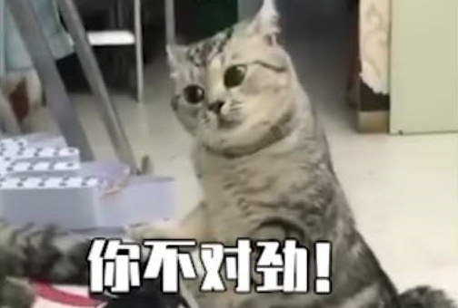 16036345974560.png