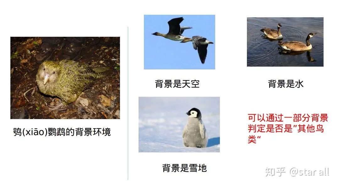 94e2d0155278328d7f56df136fc10c53.png