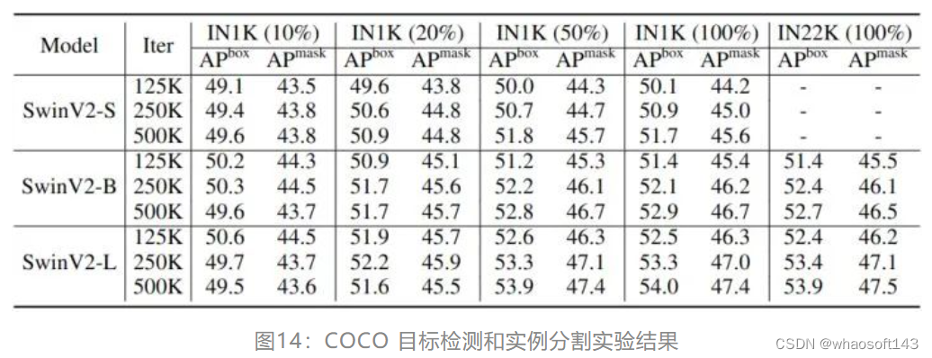 MIM（掩码图像建模）_数据_13