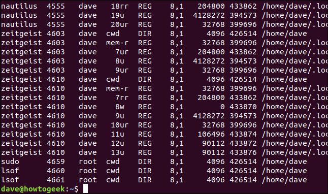 lsof output in a terminal window