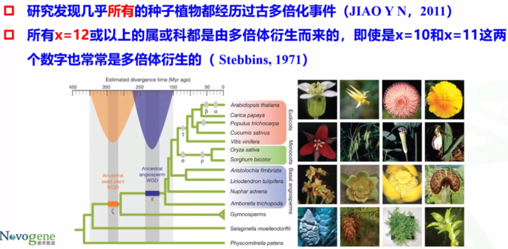 普遍性异源多倍体aabb同源多倍体aaaa种类概念植物多倍体的普遍性和