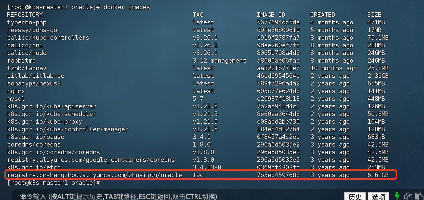 docker 安装Oracle19c