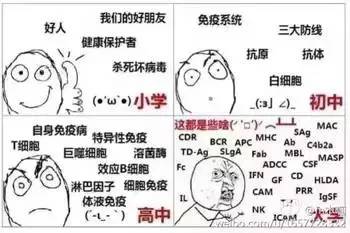 表情包用计算机语言用一个表情包形容你的专业学俄语的我给你们跪了