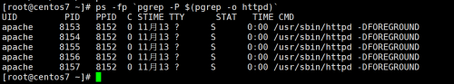 linux查看进程pgrep,查看进程PID专用工具-------pgrep