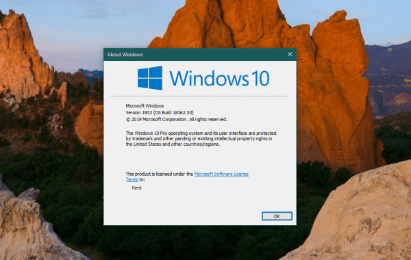 图片9 600x380-升级到Windows 10 1903年5月可以通过WSUS更新