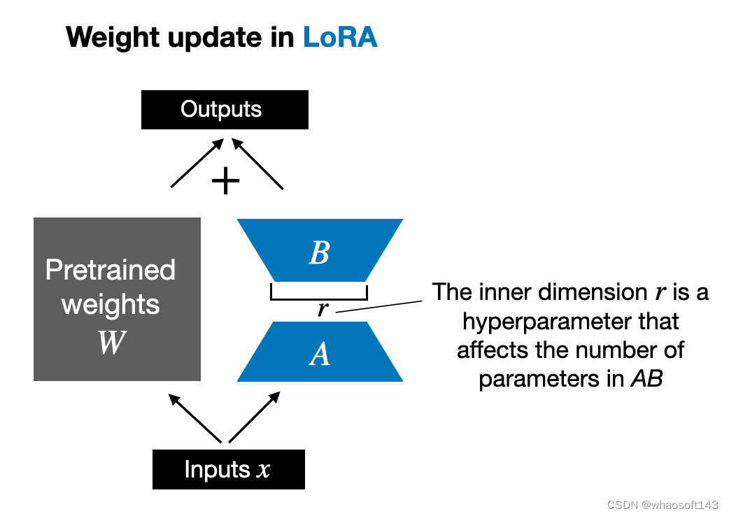 LoRA3_权重_06