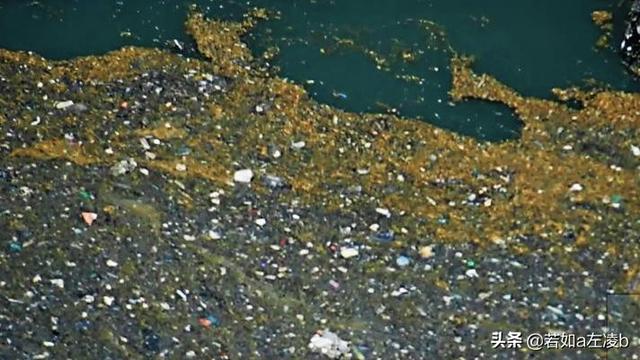 项目中的东西为什么会自动消失_如果人类突然消失了,地球会怎样?