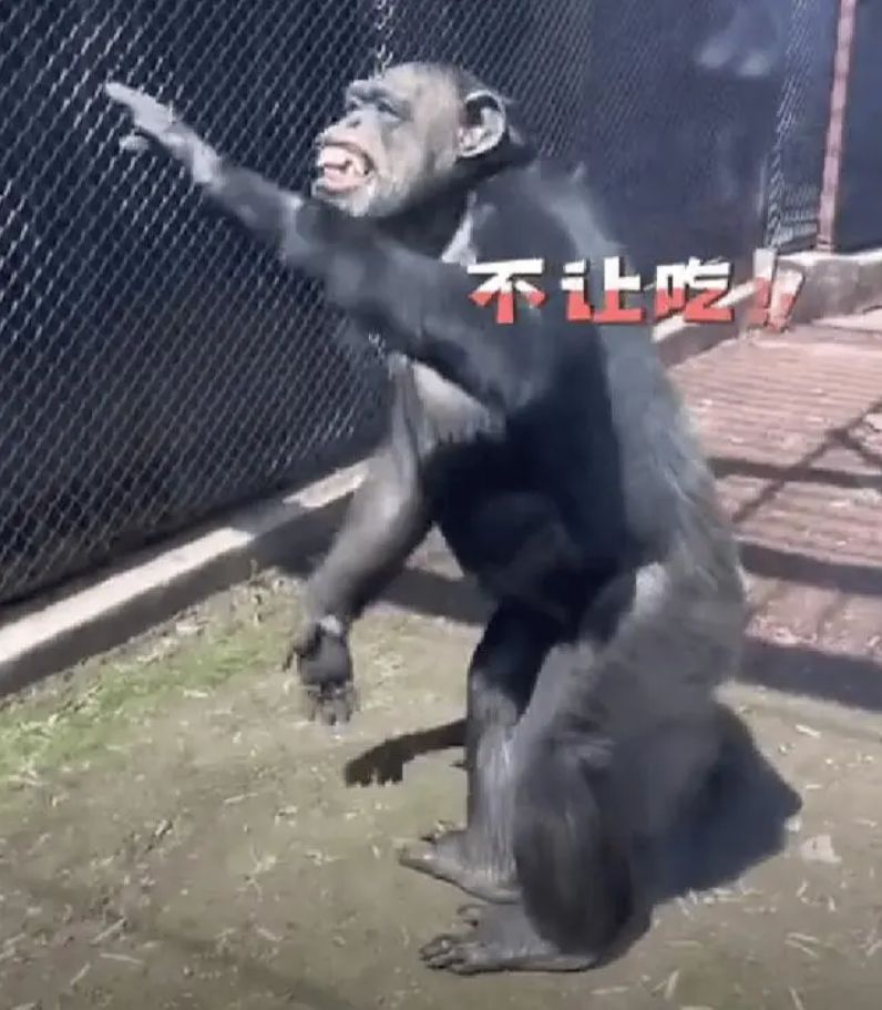 95c1bd7a003754698e45b8ca6551a61d.jpeg