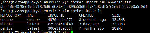 95e903e615d138b325d79ec5613b6b98 - 《前端运维》三、Docker--1镜像与容器