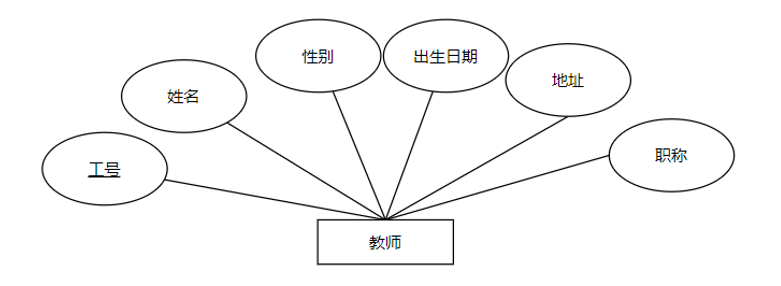 教师实体