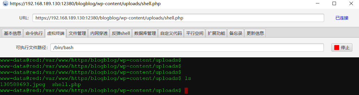 image-20220309224349914
