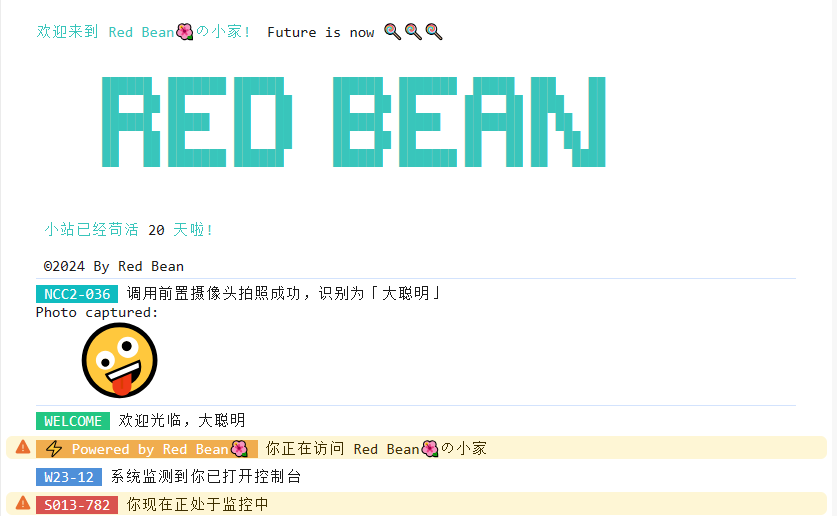 image-20240312102531122