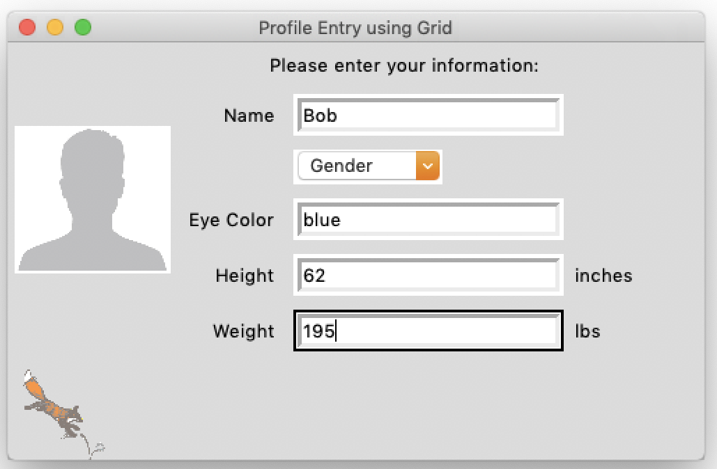 使用网格和 Tkinter 的配置文件条目 UI。包括用户图像、姓名、性别、眼睛颜色、身高和体重输入字段。