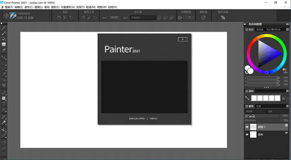 Painter2021 破解版