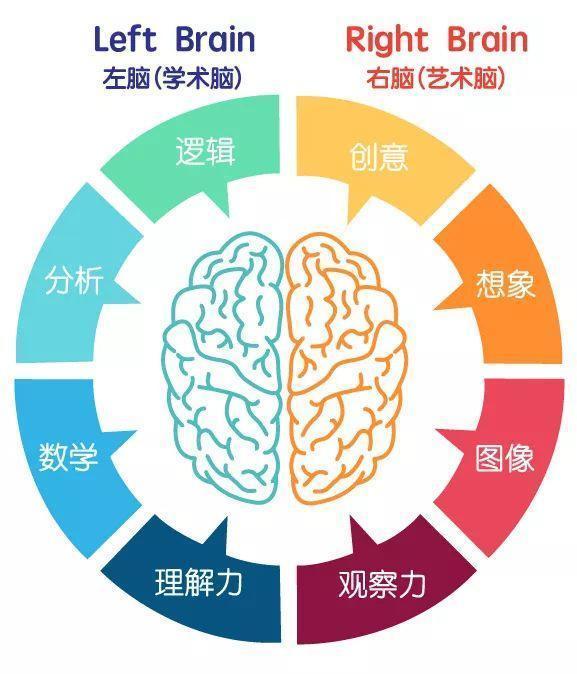 如何旋转看图_如何对孩子的左右脑进行思维开发?