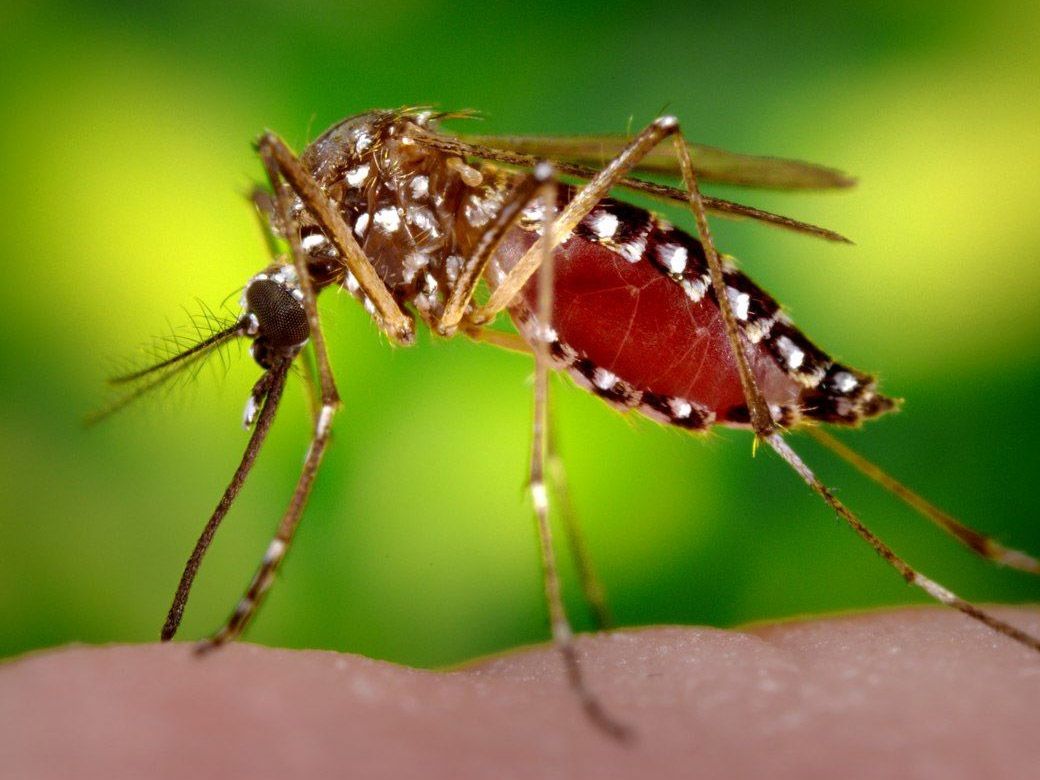 蚊子热点项目变现小思路