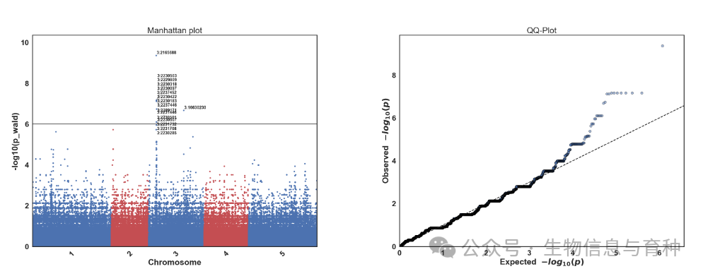 vcf2gwas：简化全基因组关联分析_生物信息_02