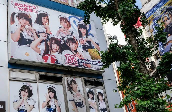 开一间女仆桌游店能挣多少钱