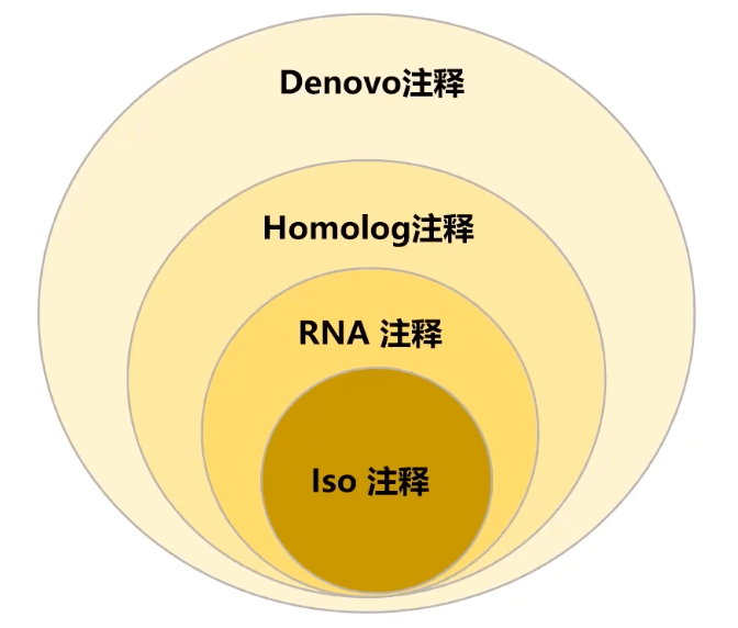 基因组注释（Annotation）