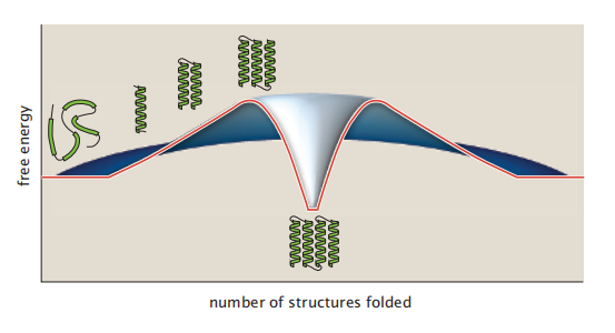 27《Protein Actions Principles and Modeling》-《蛋白质作用原理和建模》中文分享