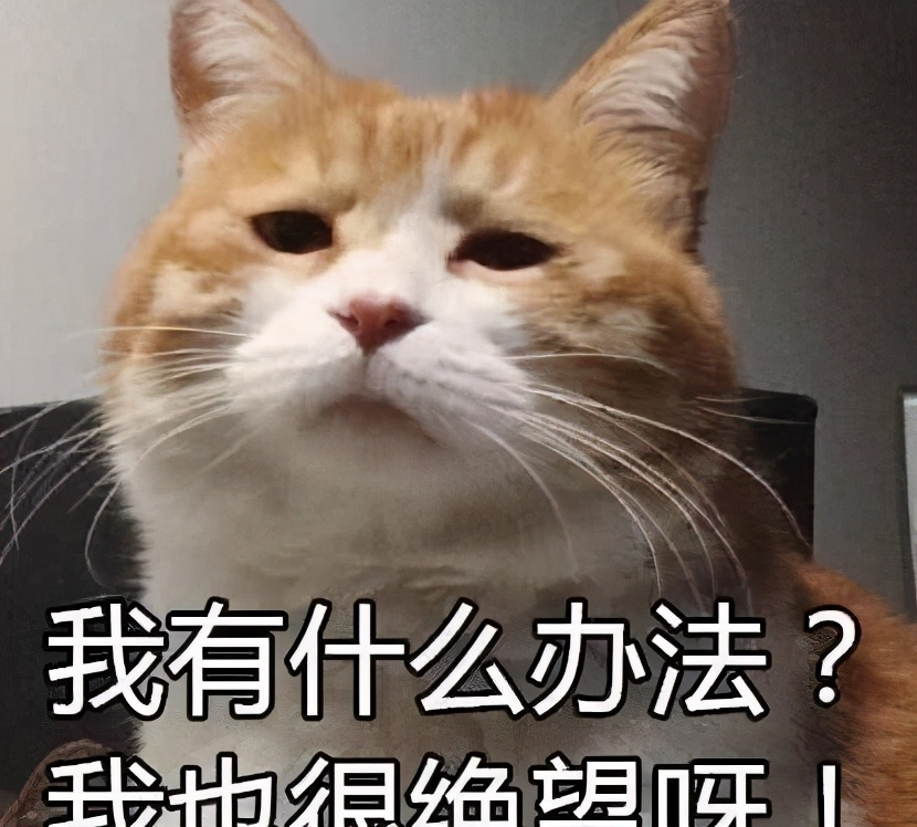 一步错步步错昨天在跑程序时,突然发现抛出了一个莫名其妙的错误,查看