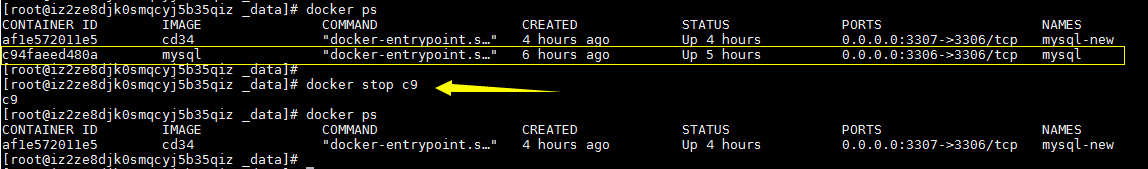 在Docker中安装Mysql