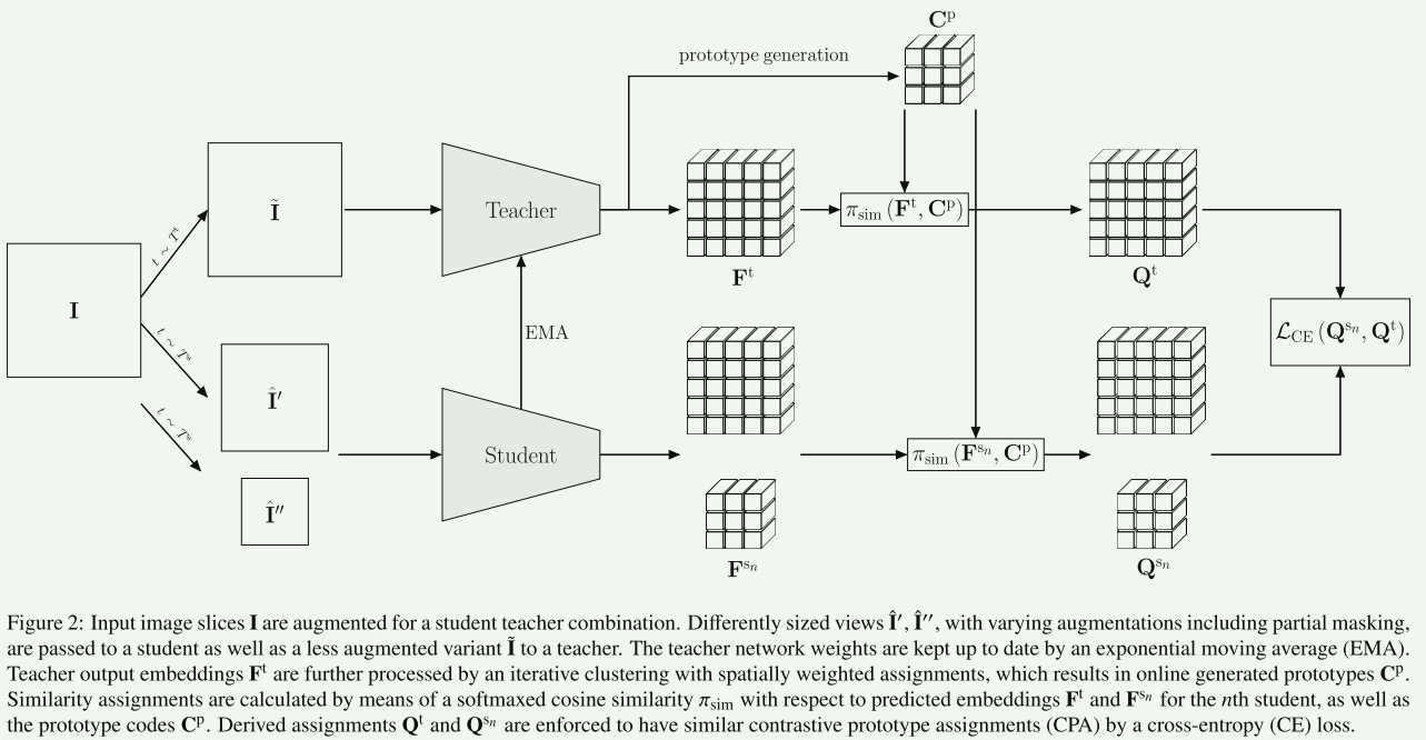 【论文阅读笔记】Prompt Tuning for Parameter-efficient Medical Image Segmentation