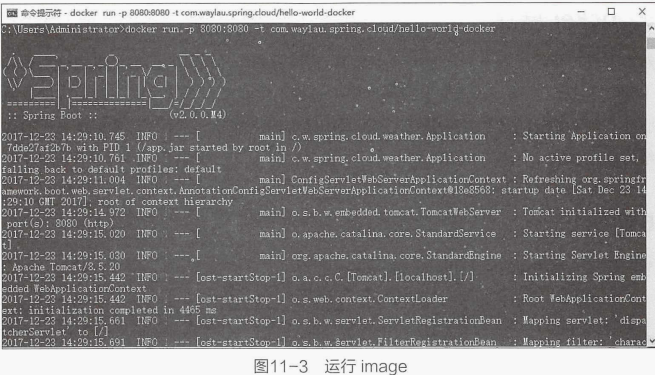 十年失眠架构师教你使用Docker来构建、运行、发布微服务