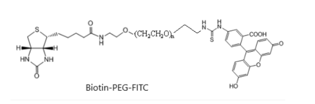 FITC-PEG-Biotin,荧光素-聚乙二醇-生物素的相关检测