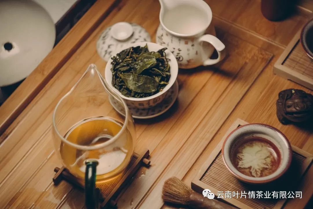 普洱茶知识大全