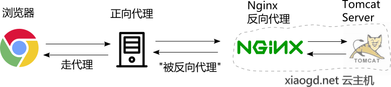 forward proxy then reverse proxy demo