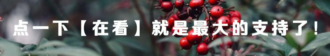 普通计算机怎么算根号_大学专业介绍 | 计算机专业的真实就业情况