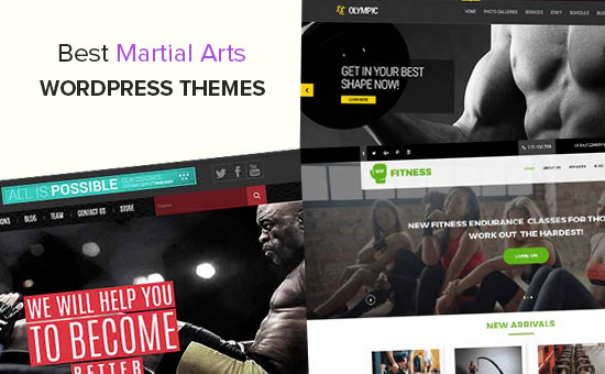 Best Martial Arts WordPress Themes