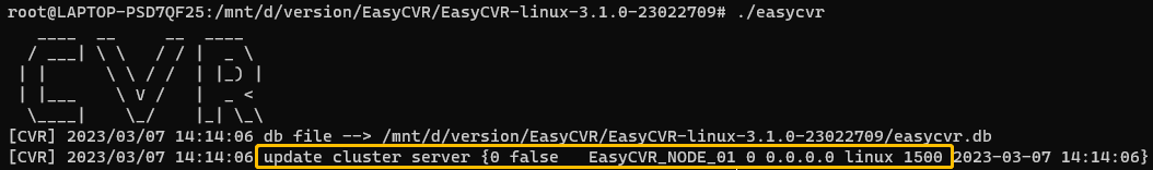 AI视频融合平台EasyCVR升级版本后启动异常的分析与解决