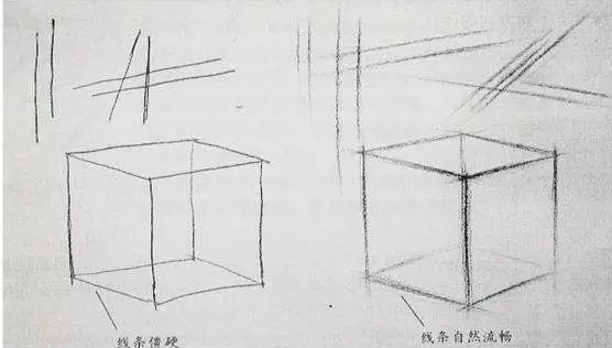 素描如何画线条 入门图片