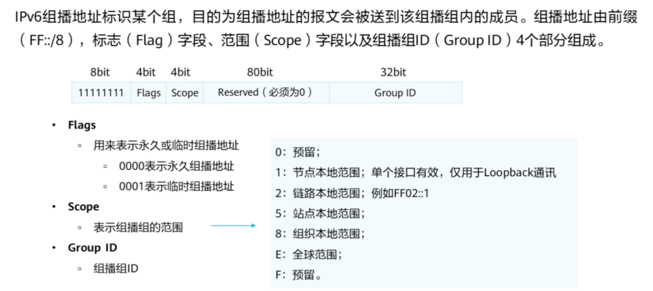 组播地址格式