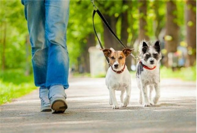 地方政务热点 三地因新规 旧案 惹争议 谁回应后扭转了舆论风向 乐多寶贝 Xu的博客 Csdn博客