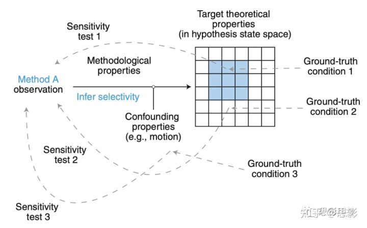 Nature Neuroscience：推动功能连接研究从关联走向因果