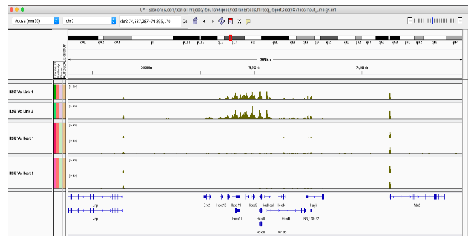 ChIP-seq 分析：TF 结合和表观遗传状态（13）